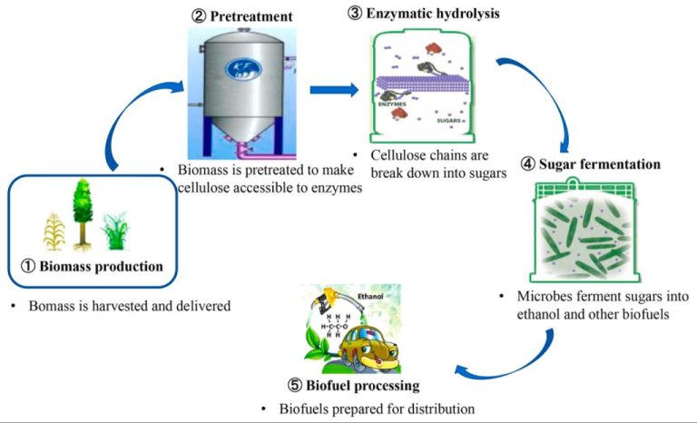 Biofuel Production From Agricultural Residues