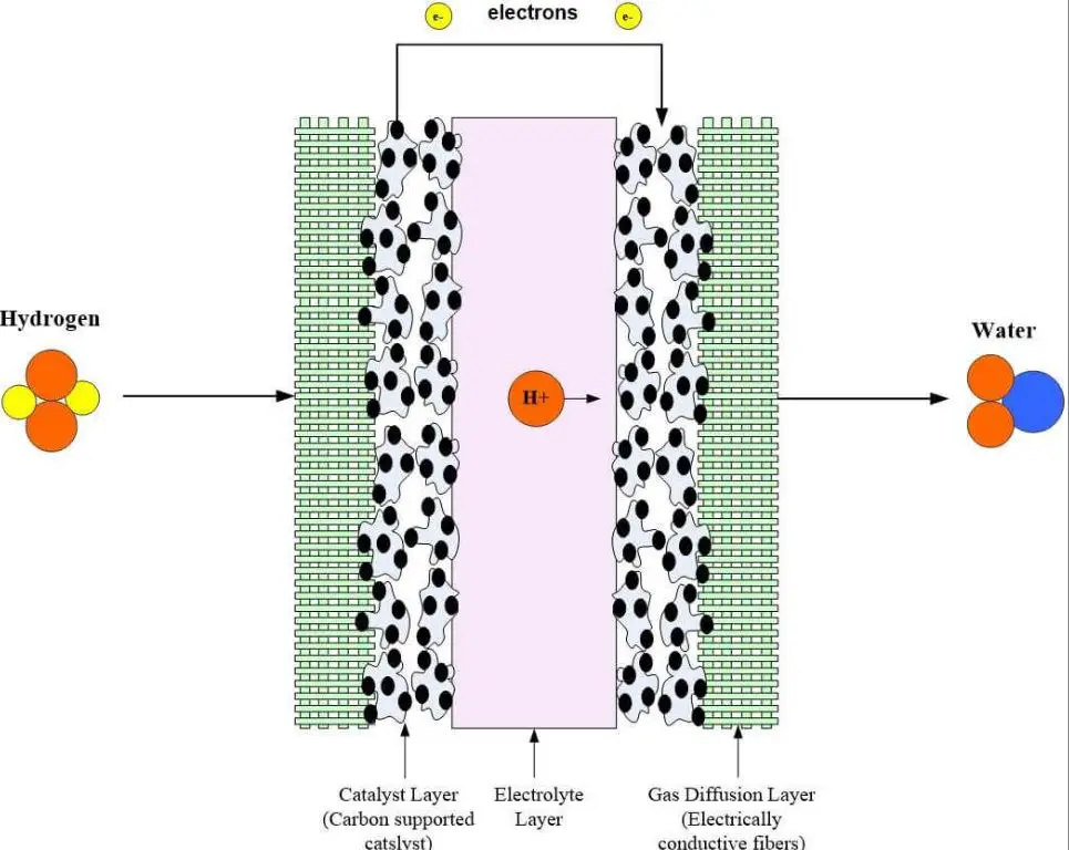 fuel cell diagram showing electrochemical reaction