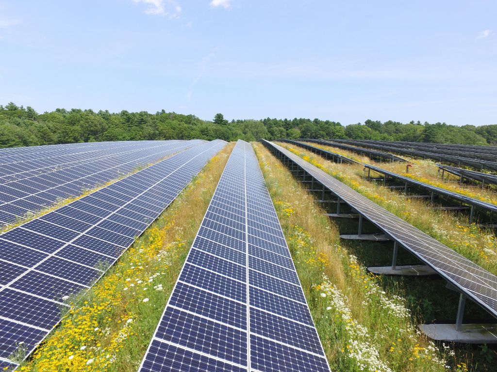 large solar farm