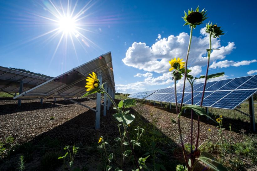 solar panels capturing rays of sunlight over grassy field