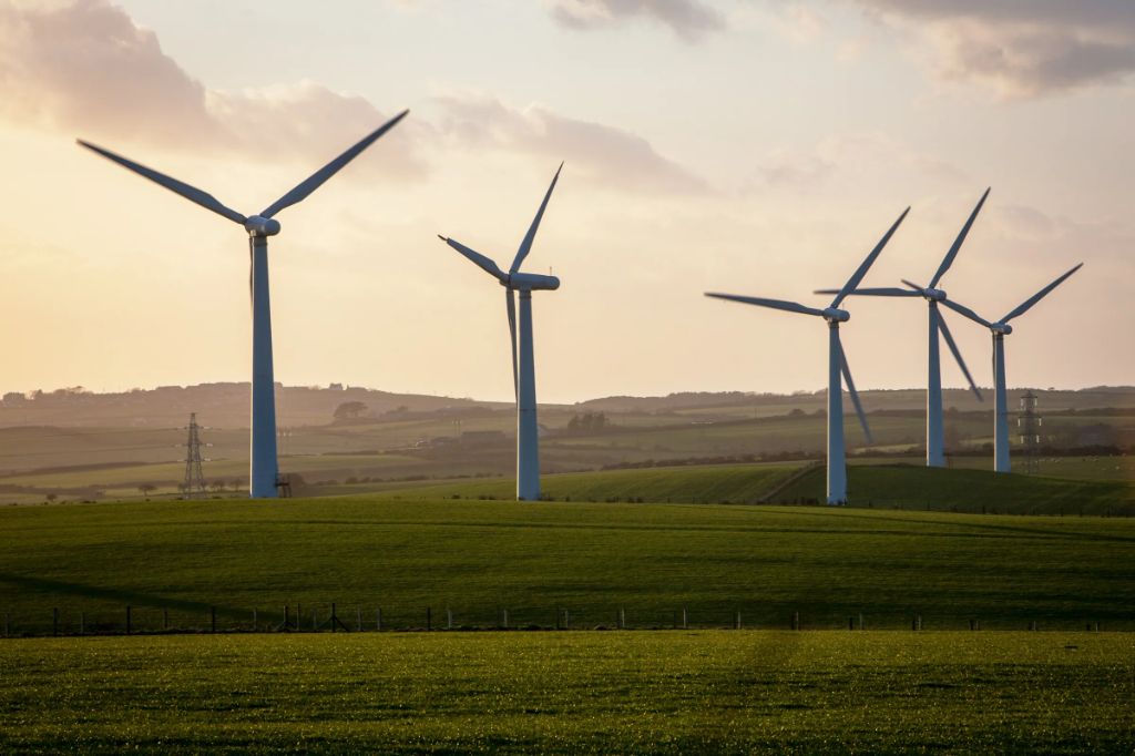 wind turbines in a field generating renewable energy