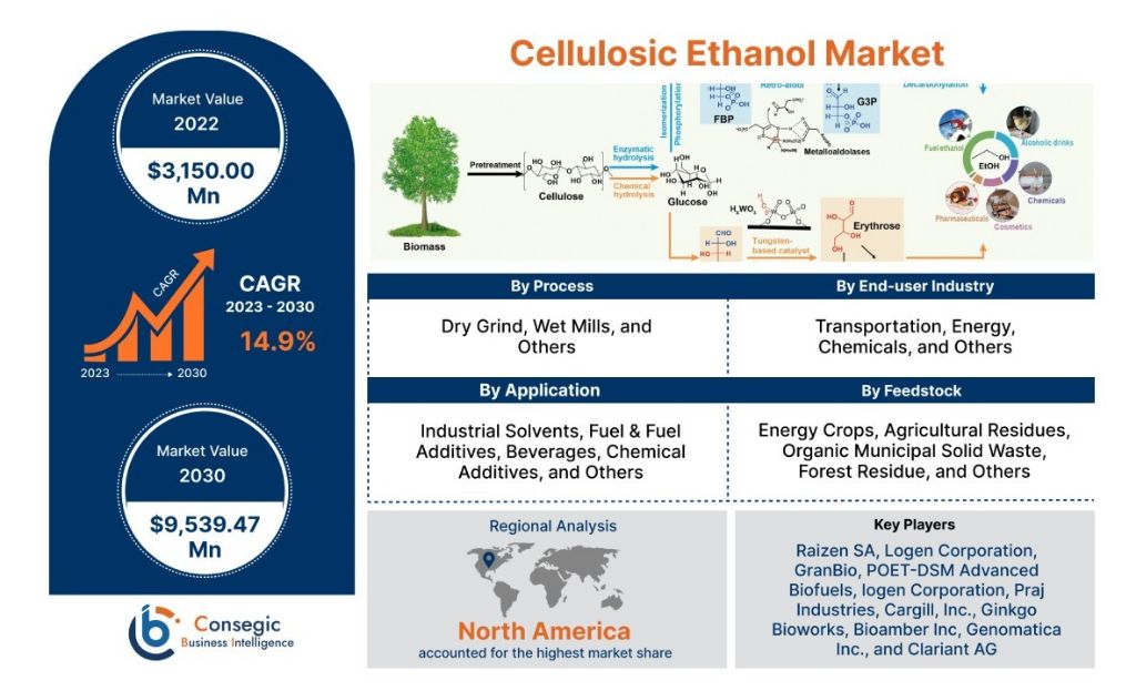 advanced biofuels like cellulosic ethanol have significant growth potential