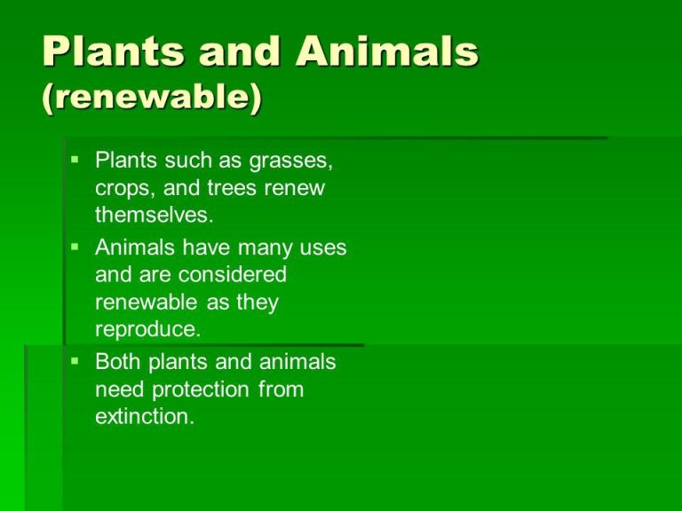 Are Animals Renewable Or Inexhaustible?