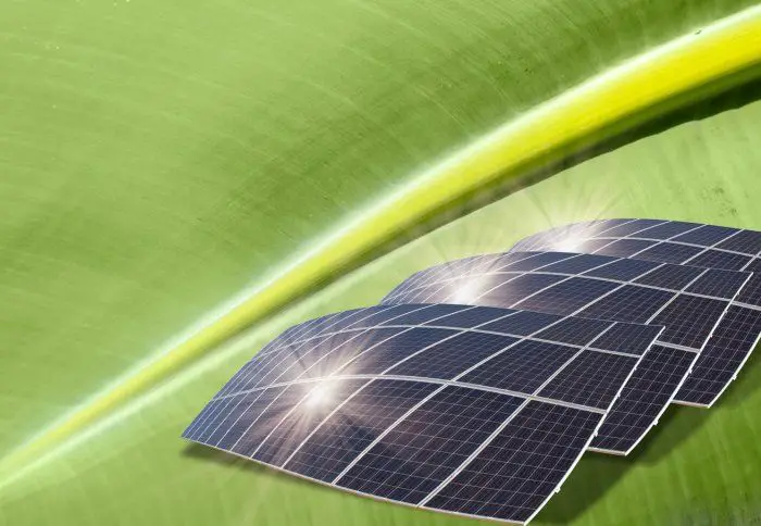 Are Solar Panels Artificial Photosynthesis?