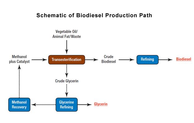 biodiesel production process diagram
