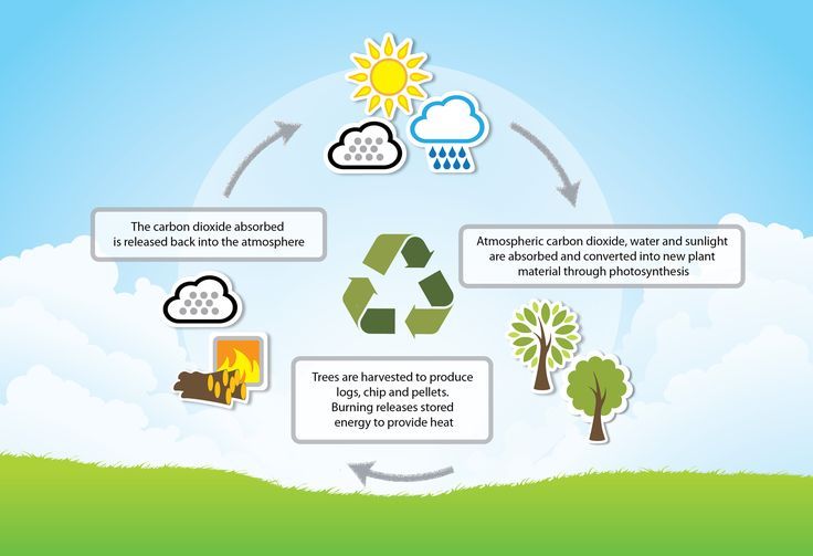 biomass can provide renewable energy