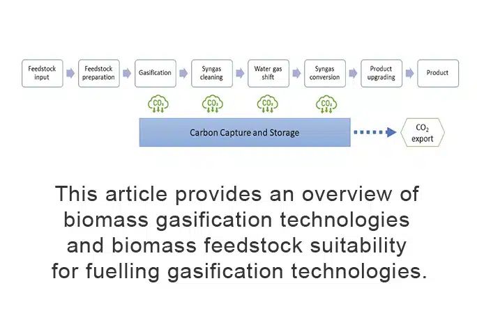 biomass feedstocks like wood chips can be gasified to syngas and converted to biofuels with co2 capture.