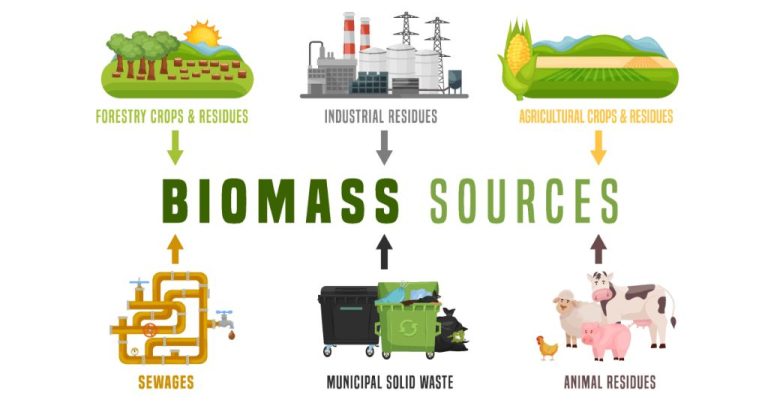 Is Biomass Being Used In Australia?