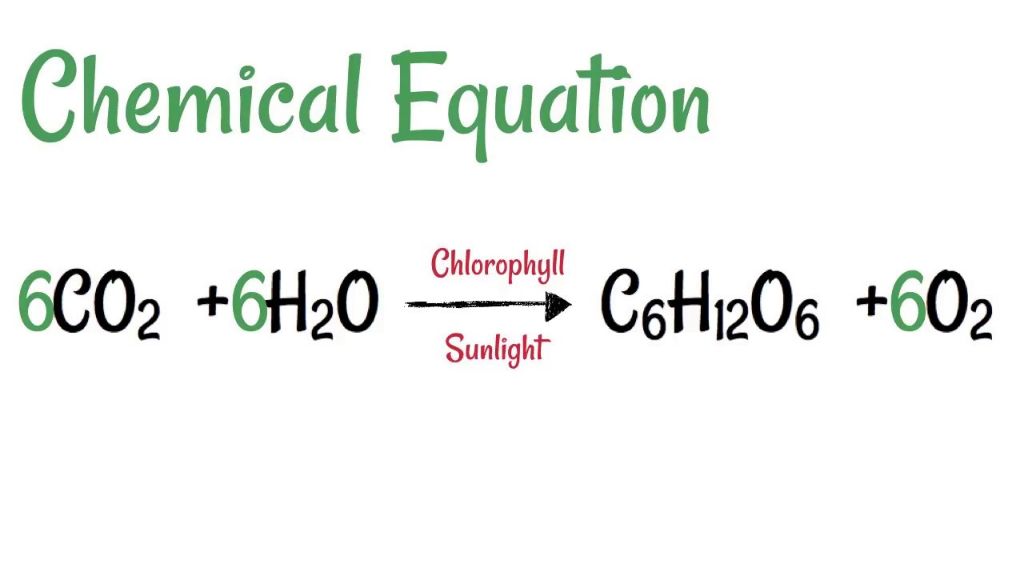 chemical equation for photosynthesis