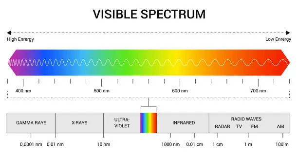 color spectrum showing different wavelengths of visible light