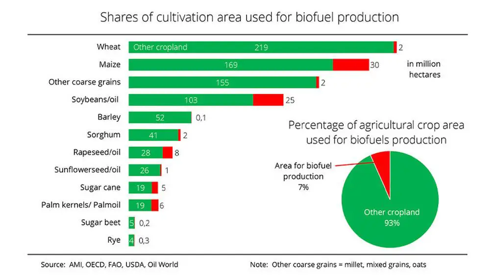 crops grown for biofuel feedstock
