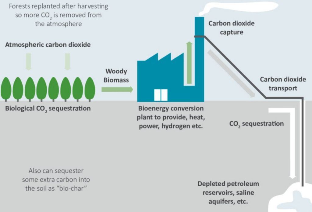 diagram showing bioenergy with carbon capture and storage process