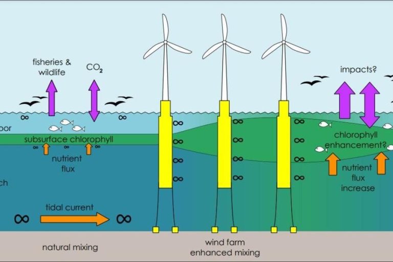 Does Wind Energy Cause Water Pollution?