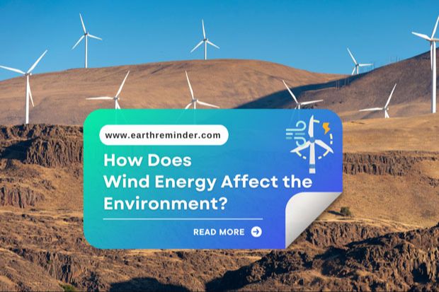Does Wind Energy Have A Negative Impact?