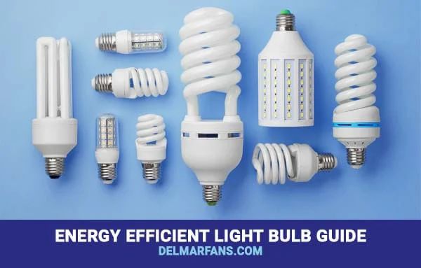 energy efficient bulbs often have higher upfront costs.