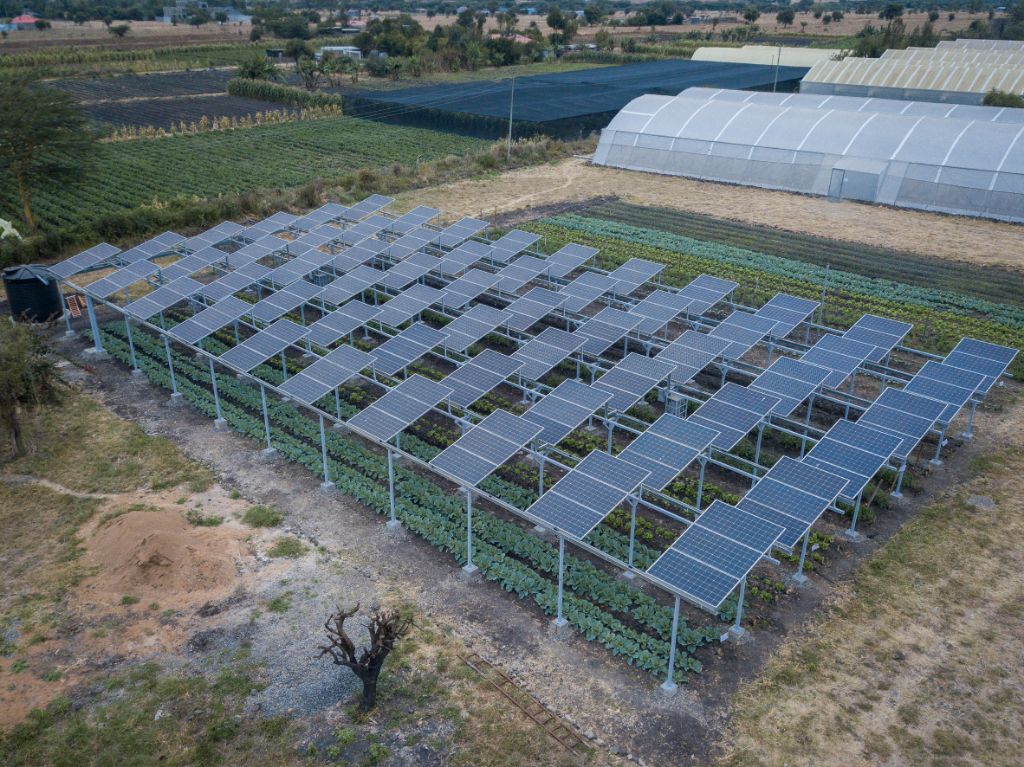 example image of an agrivoltaic system integrating solar panels and agricultural crops