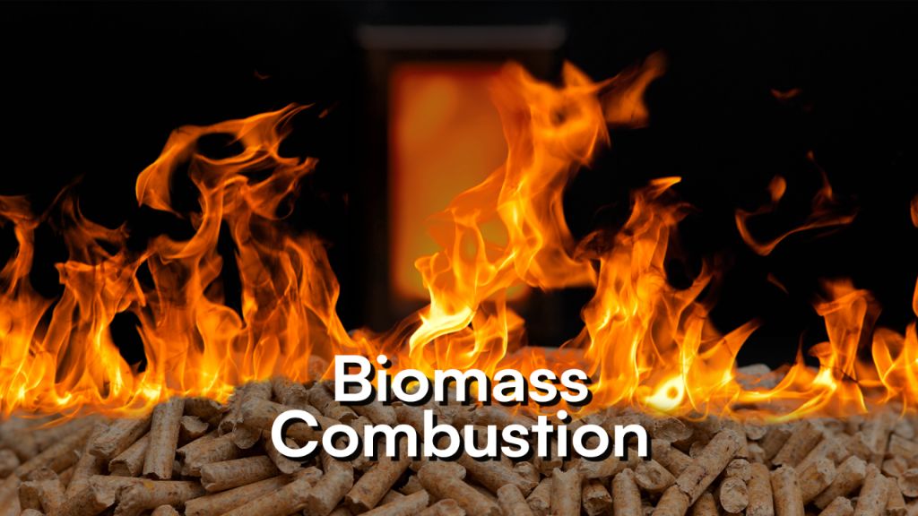 flames ignite from burning biomass for bioenergy