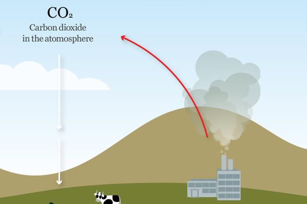 How Are Fossil Fuels Related To The Carbon Cycle?