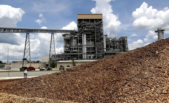 gainesville gets renewable electricity from biomass fueled by wood waste