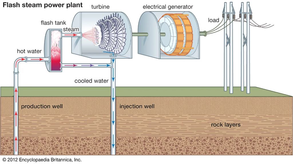 geothermal fluids like hot water or steam are brought to the surface through production wells to generate electricity.