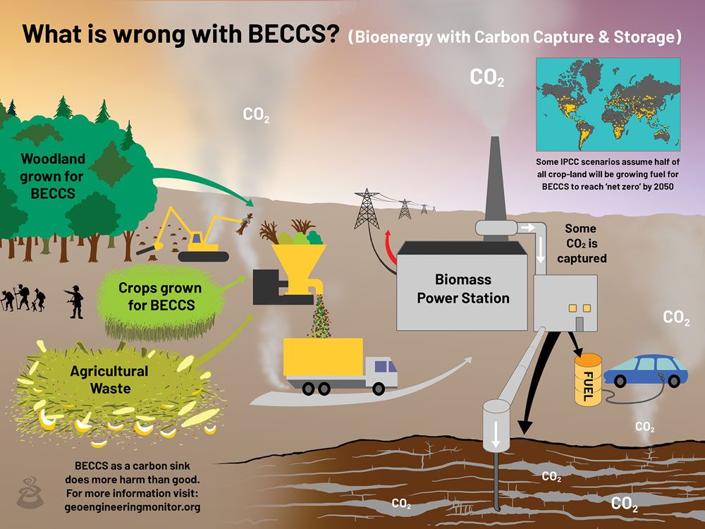 How bioenergy with carbon capture and storage works?