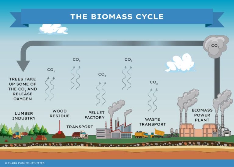 How Do You Use Biomass For Energy?