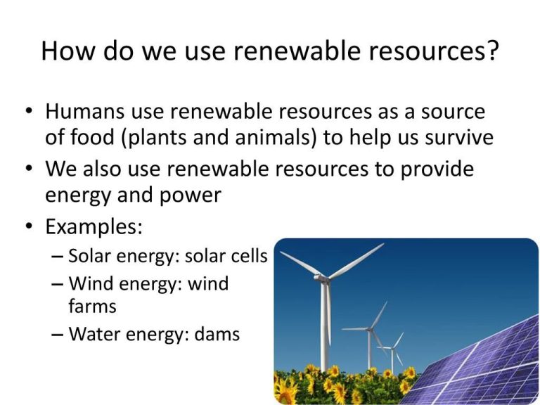 How Do You Use Renewable Sources In A Sentence?
