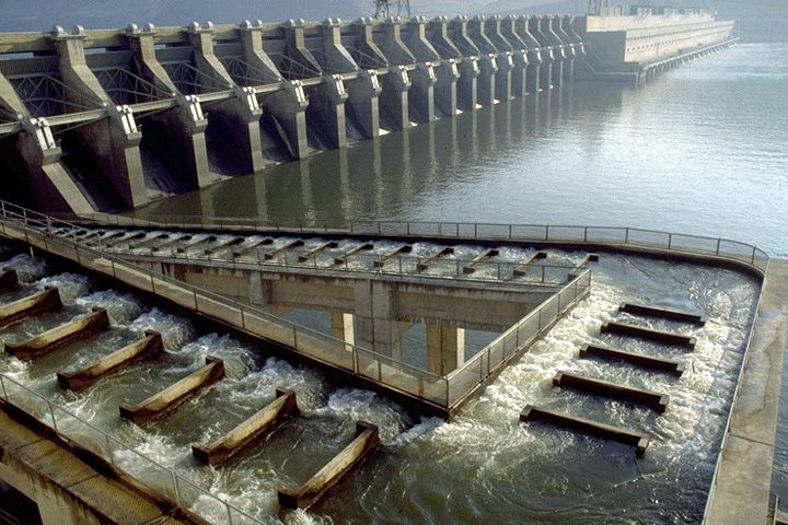 hydroelectric dams can disrupt fish migration routes and prevent access to spawning grounds