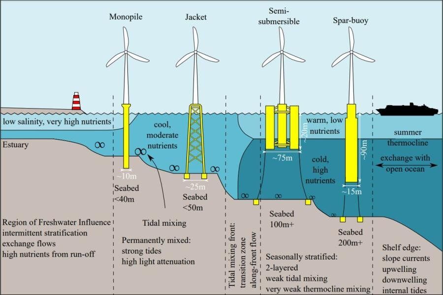 in contrast, wind farms located farther offshore, beyond 20-50 km, have reduced visual impacts but may disrupt migratory bird pathways over open water