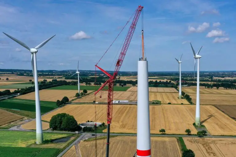 Why Is Wind The Fastest Growing Renewable?
