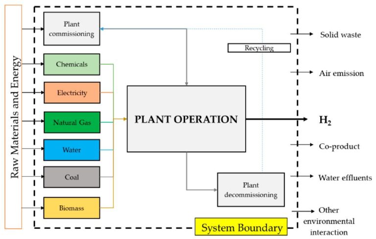 What Is Bioenergy Life Cycle Analysis?