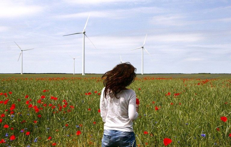 Is It Harmful To Live Near Wind Turbines?