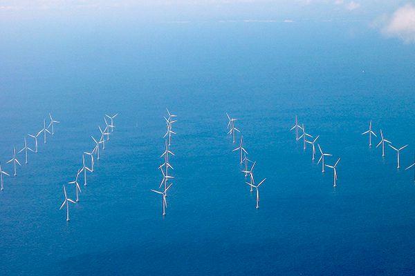 rows of wind turbines in a wind farm