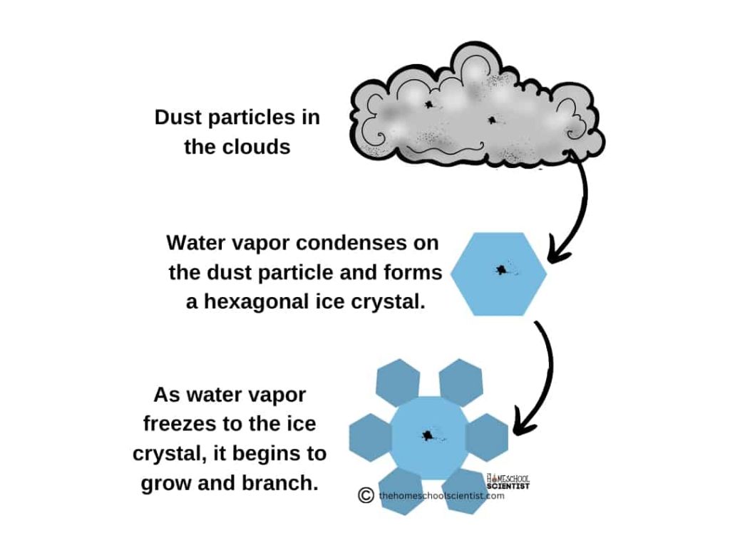 snowflakes form in clouds when water vapor freezes into ice crystals.