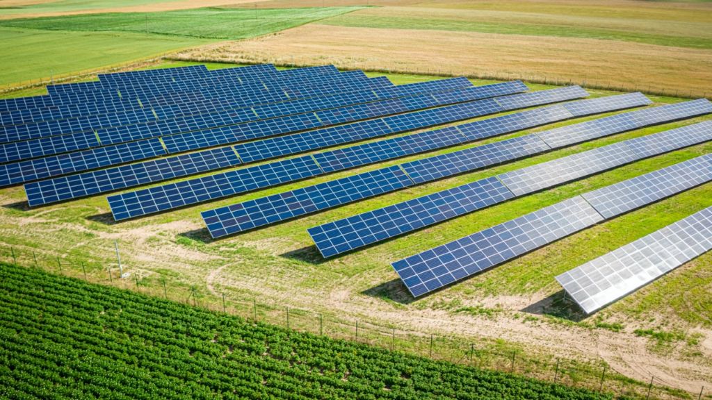 solar panels in a field