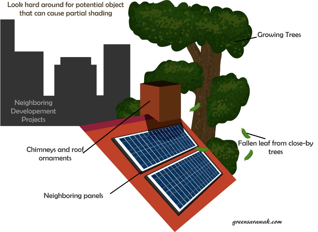 solar panels installed under trees to test shade tolerance