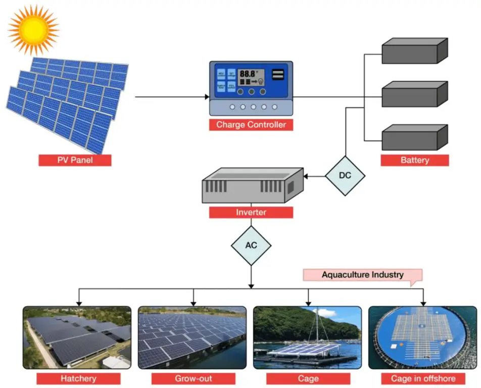 solar panels representing renewable energy's potential as the future energy source