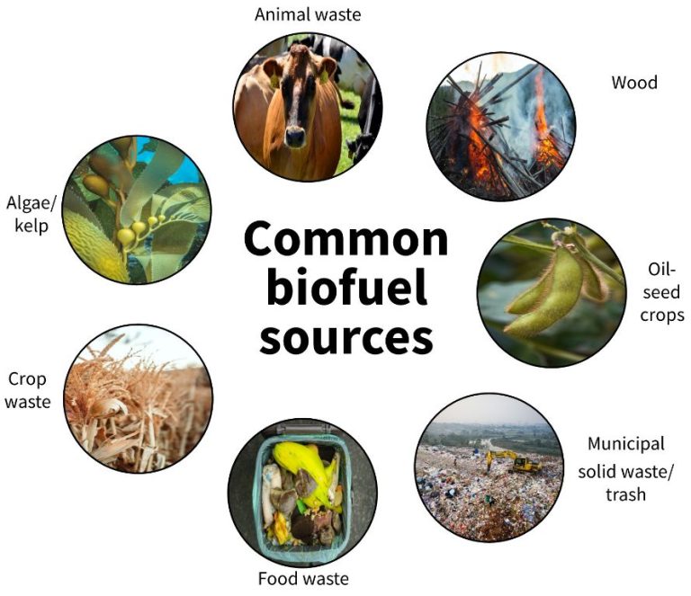 How Is Biomass Waste Produced Into Biofuel?