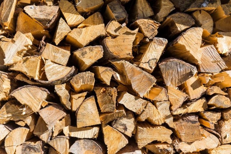 Which Forms Of Energy Are Biomass Fuels?