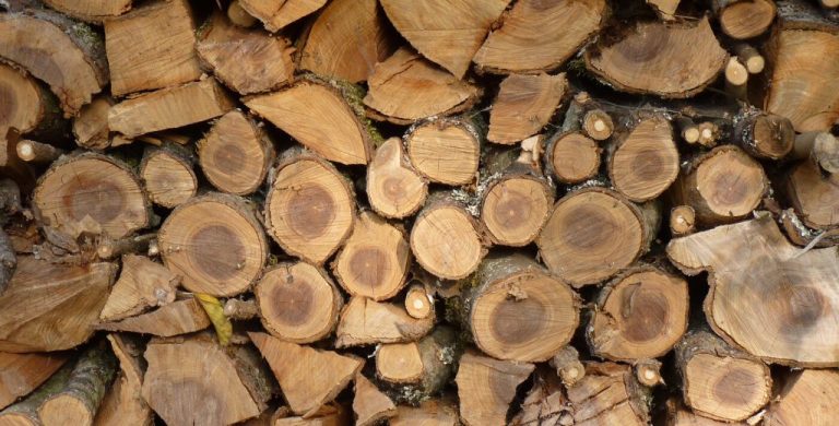 Is Biomass A Good Or Bad Thing?