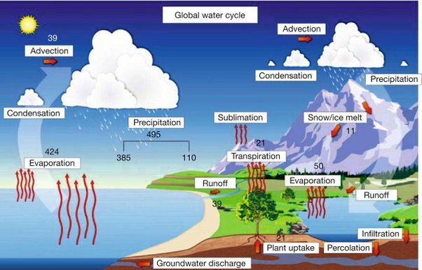 Where Does The Energy For The Water Cycle Come From Quizlet?
