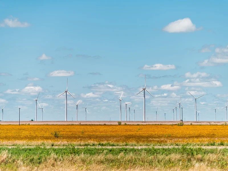 the west texas region contains some of the largest wind farms in texas, including roscoe wind farm near roscoe.