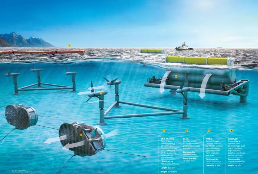 tidal power stations utilize the rise and fall of ocean tides to generate electricity