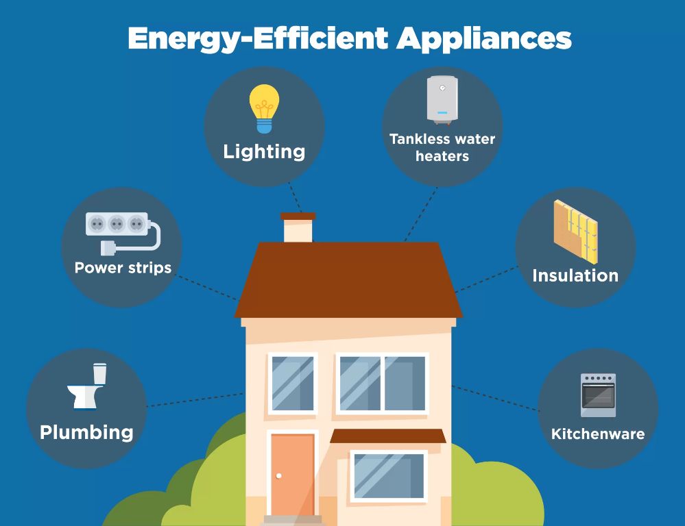 using energy efficient appliances can reduce electricity usage in homes and businesses
