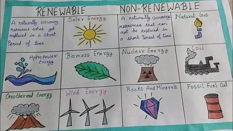 What Are 5 Renewable Non Renewable?