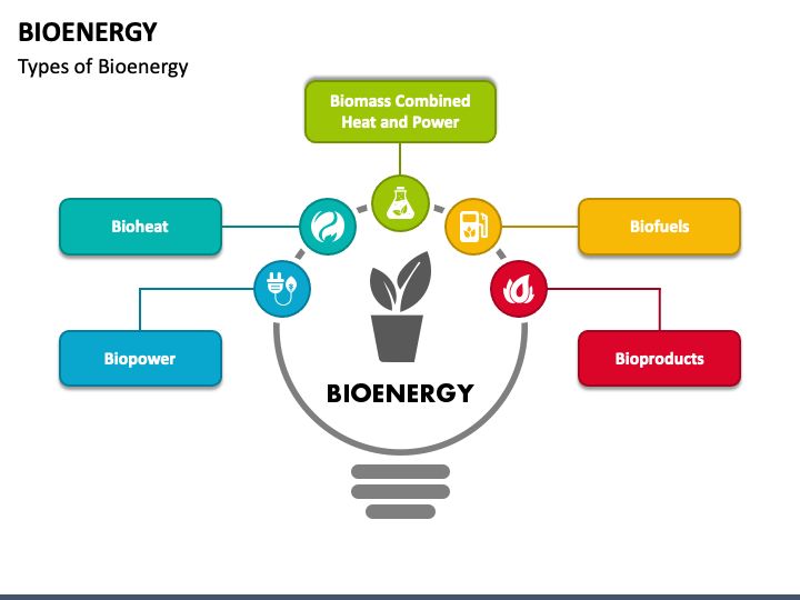 What Are The Different Types Of Bioenergy Plants?