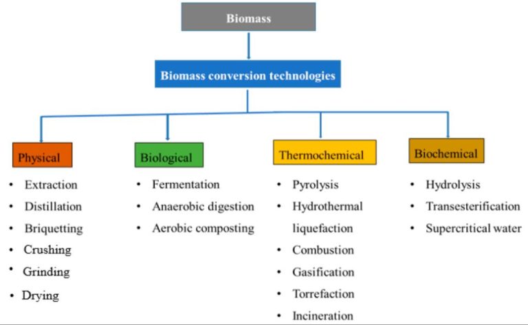 What Are The Technologies Used In Biomass Energy?