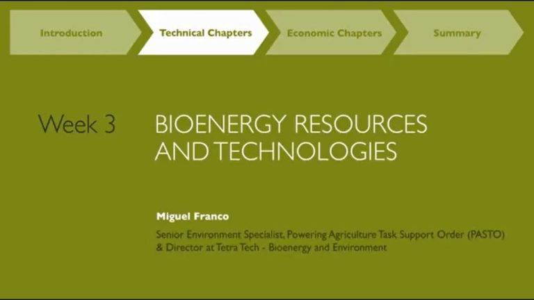 What Are The Three Main Bioenergy Technologies?