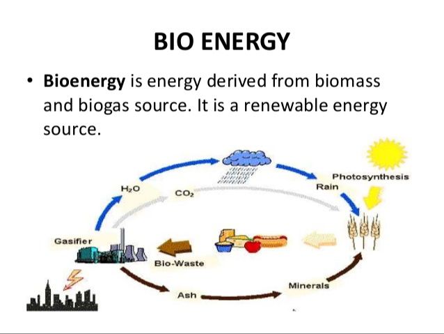 What Energy Resource Is Bioenergy?