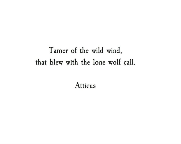What Is A Poetic Quote About Wind?